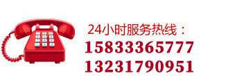 13299900703